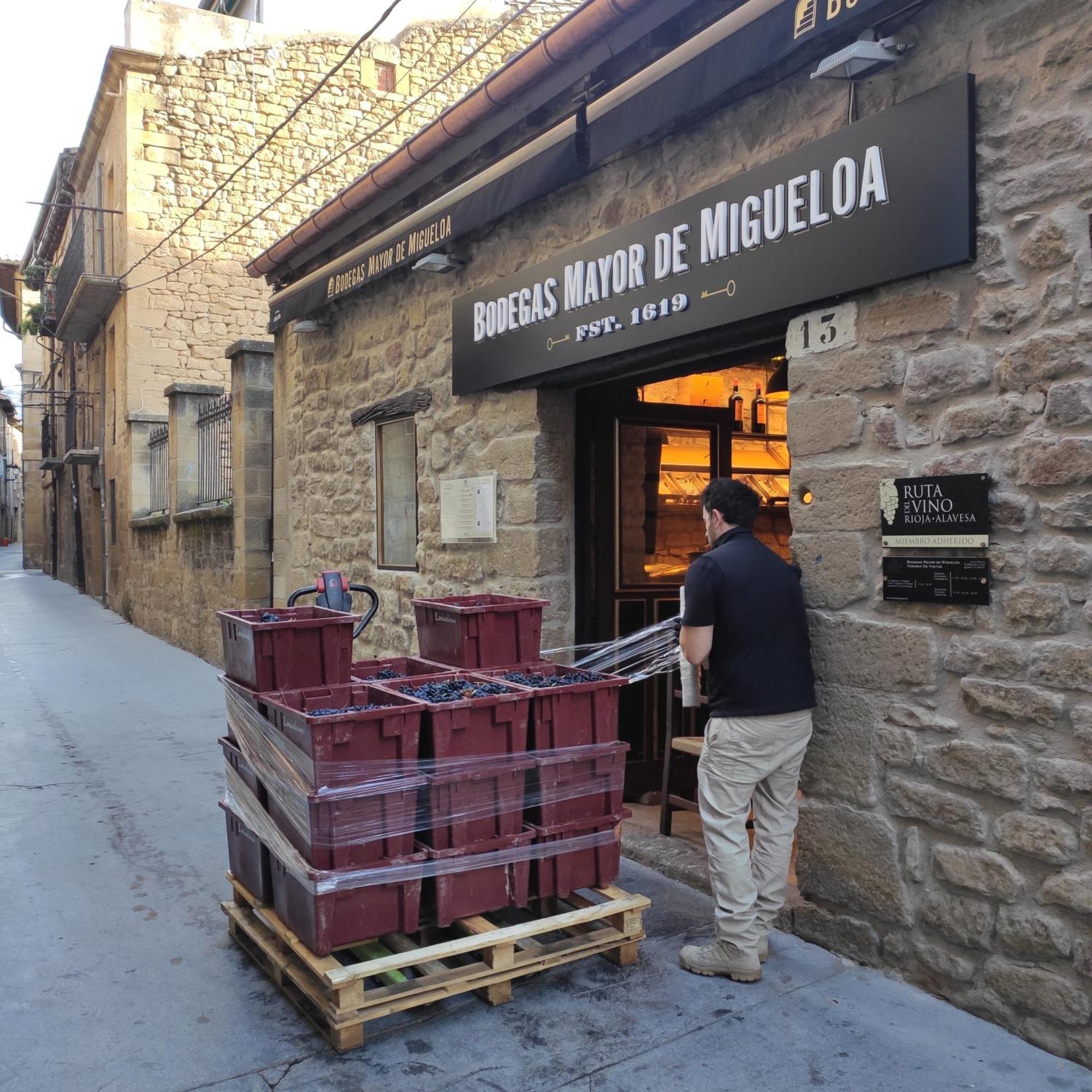 Mayor De Migueloa Hotel